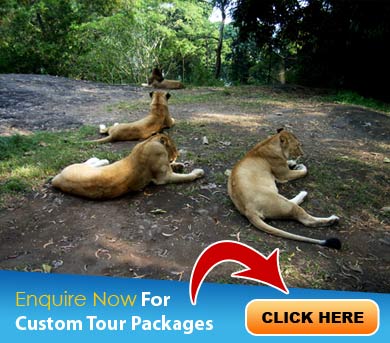 Kovalam Tour Packages